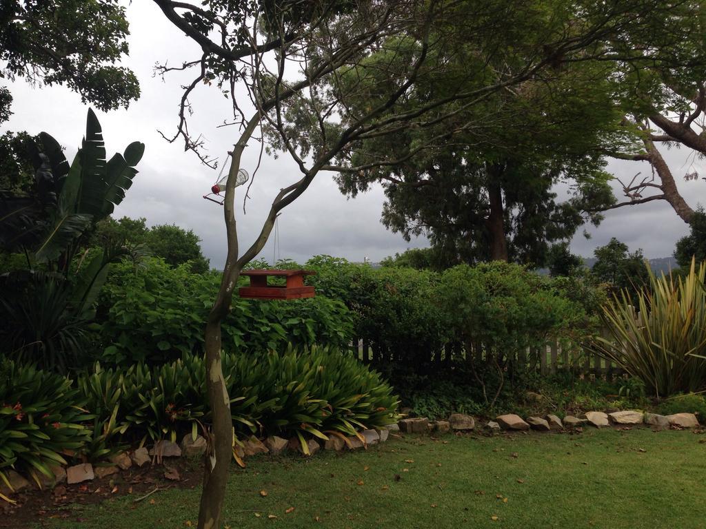 The Islander Knysna Guesthouse المظهر الخارجي الصورة