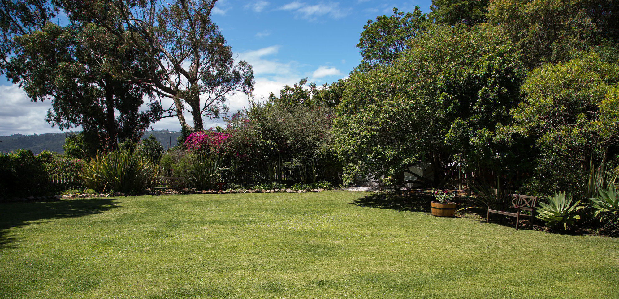 The Islander Knysna Guesthouse المظهر الخارجي الصورة